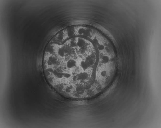 X0000100500937200807111140