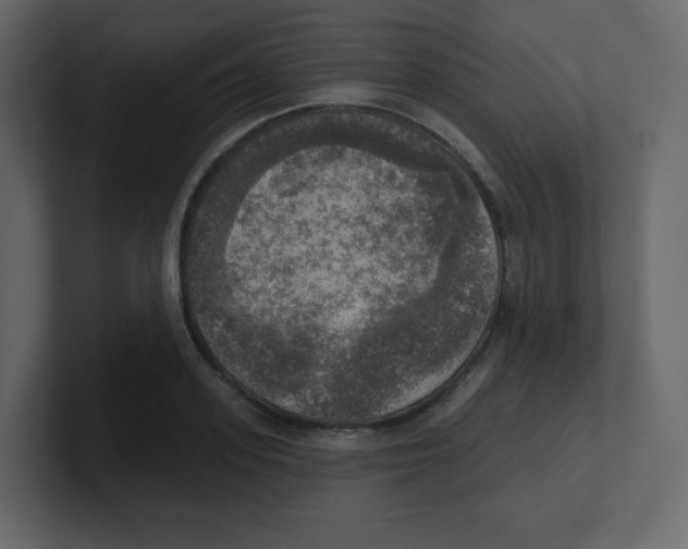 X0000100500939200807111140