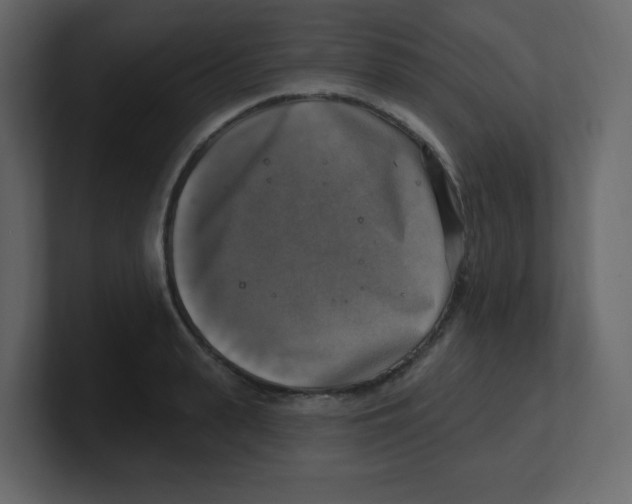 X0000100500943200807111140