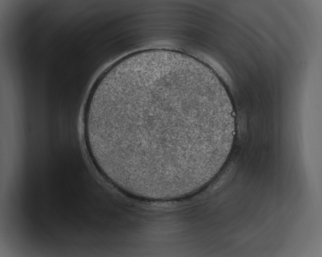 X0000100500944200807111140