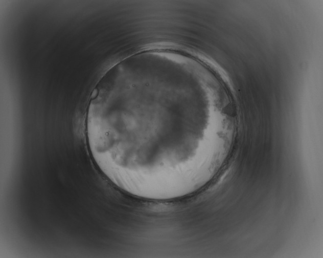 X0000100500945200807111140