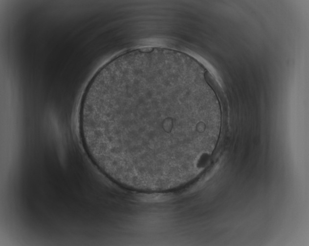 X0000100500949200807111140