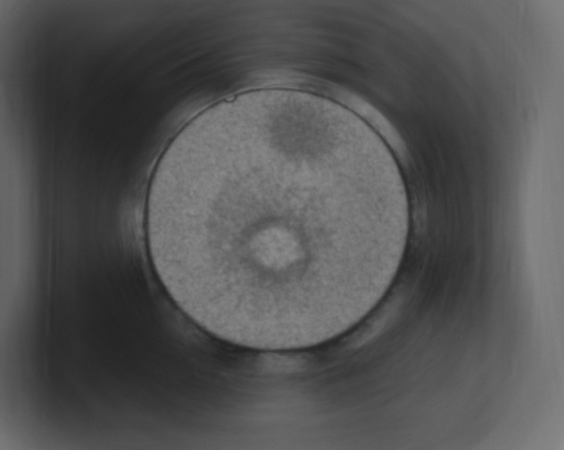 X0000100500954200807111140