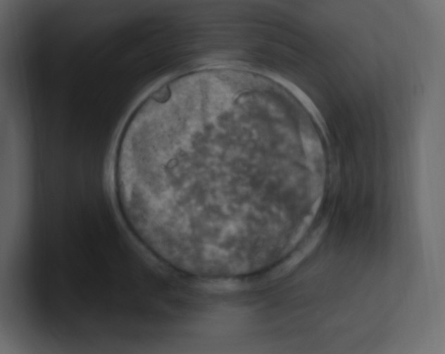 X0000100500957200807111140