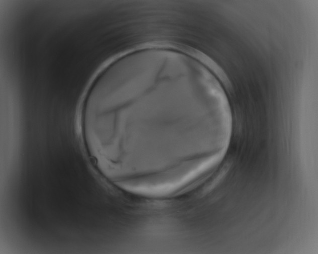 X0000100500958200807111140