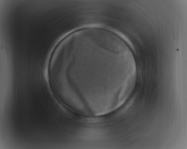 X0000100500959200807111140