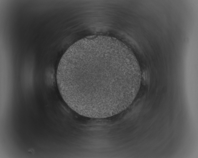 X0000100500963200807111140