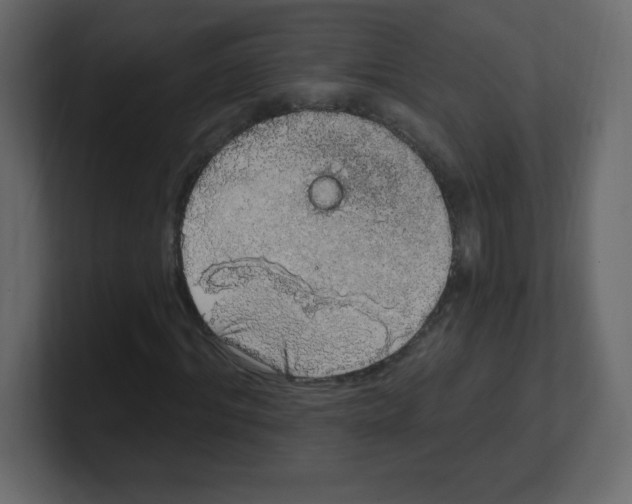 X0000100500964200807111140