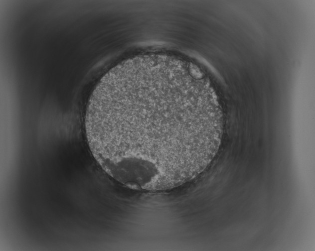 X0000100500967200807111140