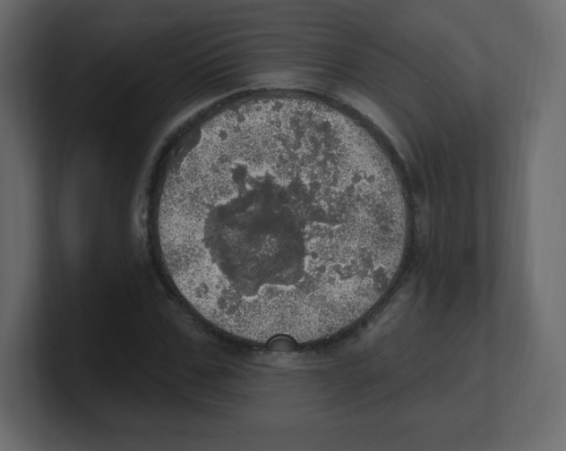 X0000100500971200807111140