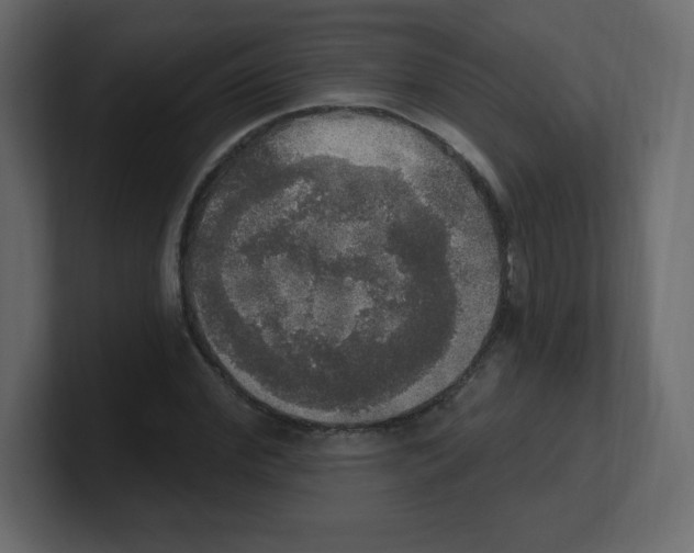 X0000100500972200807111140