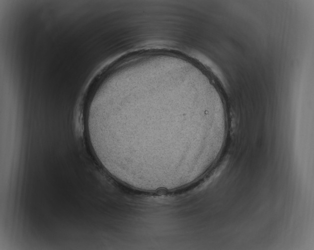 X0000100500973200807111139