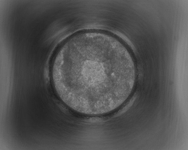 X0000100500974200807111139