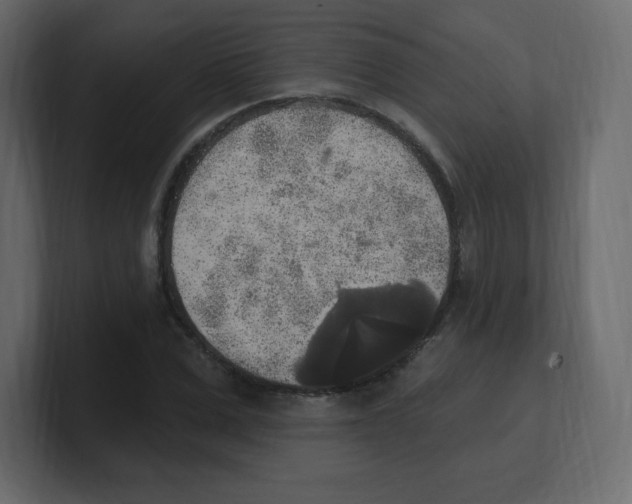 X0000100500975200807111139