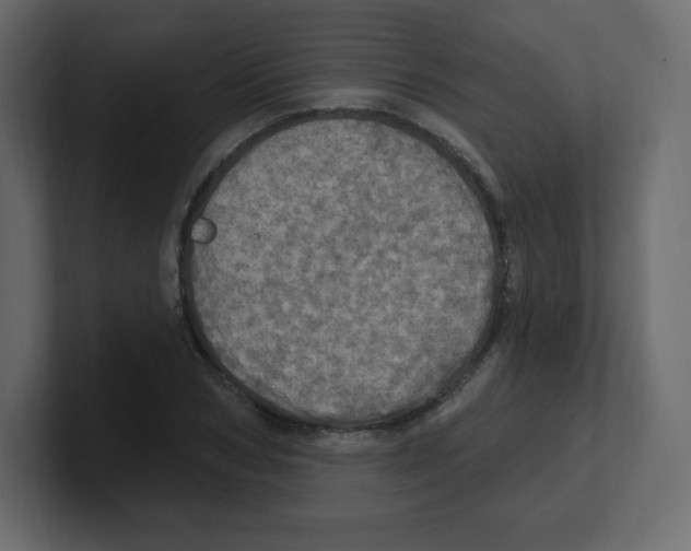 X0000100500978200807111139