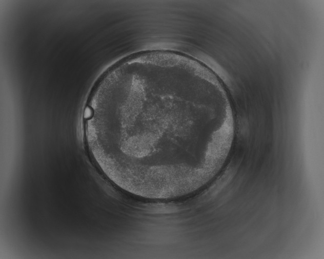 X0000100500980200807111139