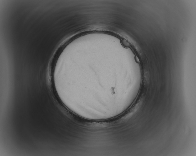 X0000100500981200807111139