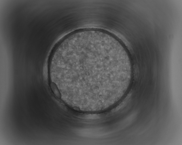 X0000100500982200807111139