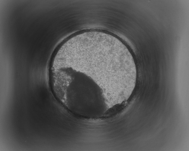 X0000100500983200807111139