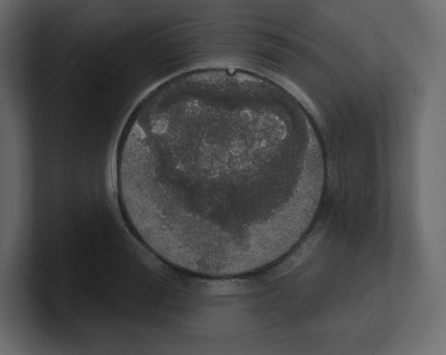 X0000100500988200807111139