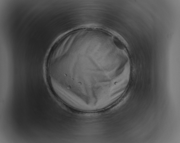 X0000100500989200807111139