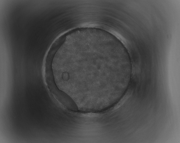 X0000100500992200807111139