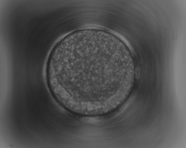 X0000100500995200807111139