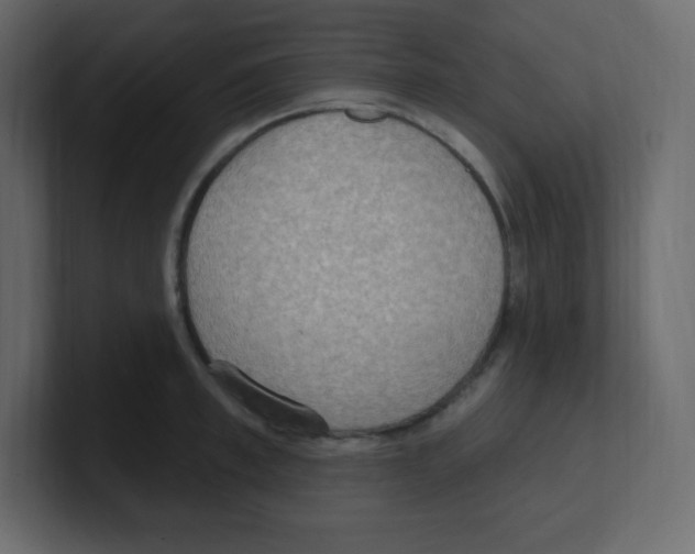 X0000100500997200807111139