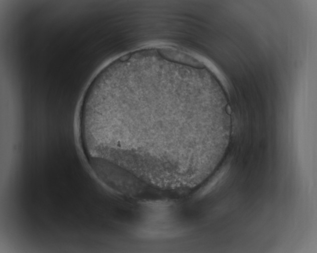 X0000100500999200807111139