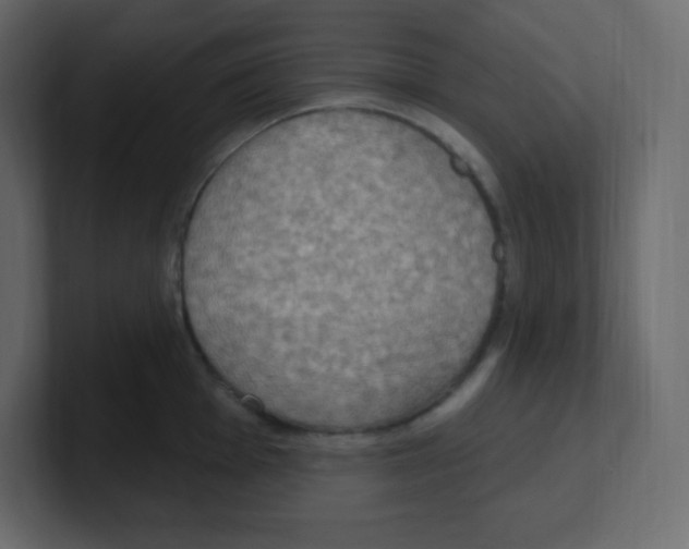 X0000100501001200807111139