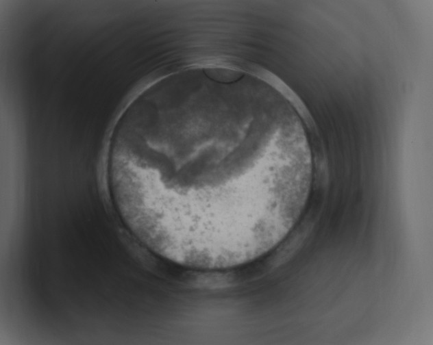 X0000100501002200807111139