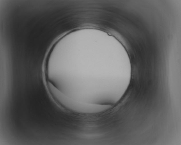 X0000100501003200807111139