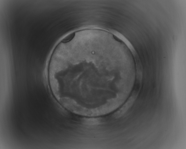 X0000100501004200807111139