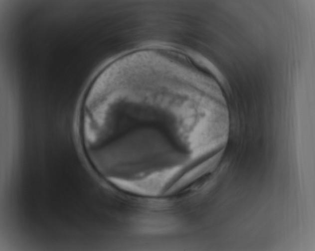 X0000100501007200807111139