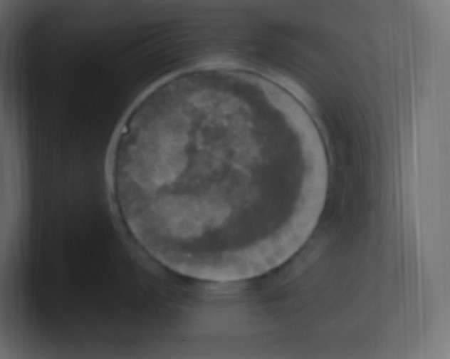 X0000100501008200807111139