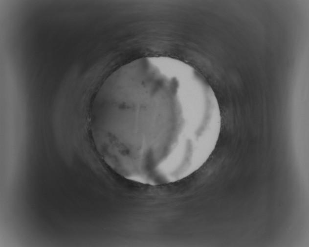 X0000100501009200807111138