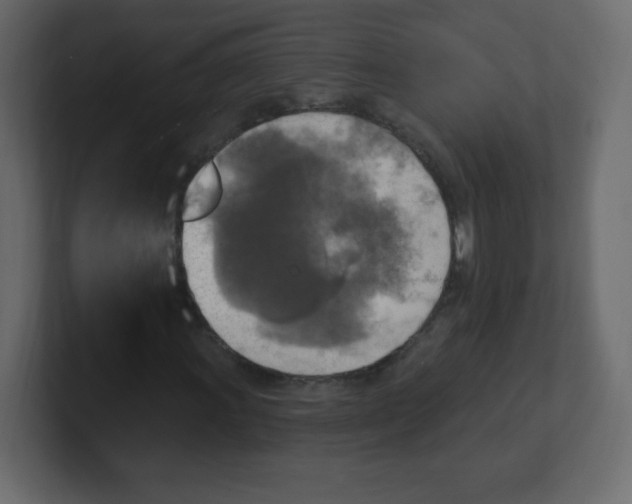 X0000100501011200807111138