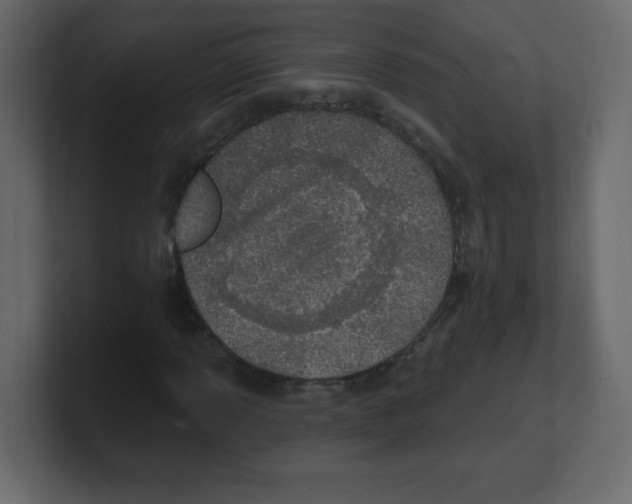 X0000100501013200807111138