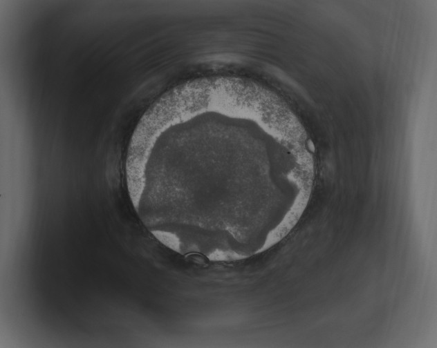 X0000100501014200807111138