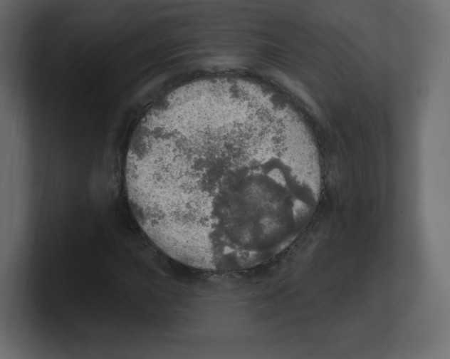 X0000100501015200807111138