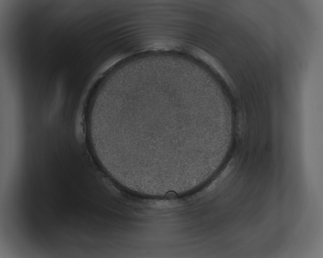 X0000100501018200807111139