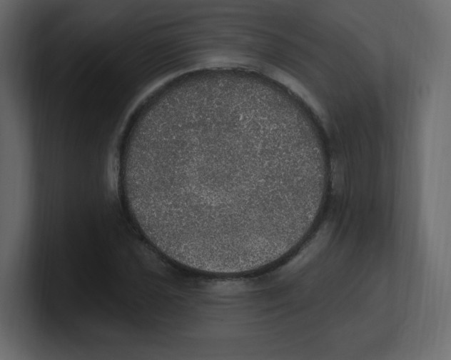 X0000100501021200807111139