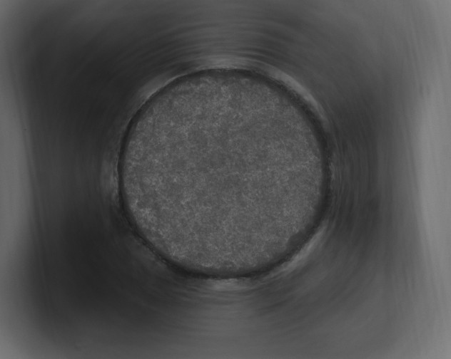 X0000100501025200807111139