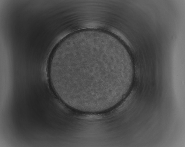 X0000100501026200807111139