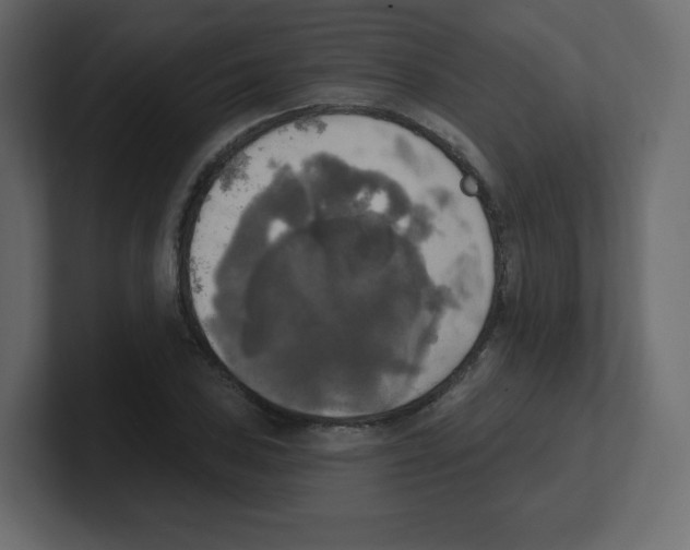 X0000100501027200807111139