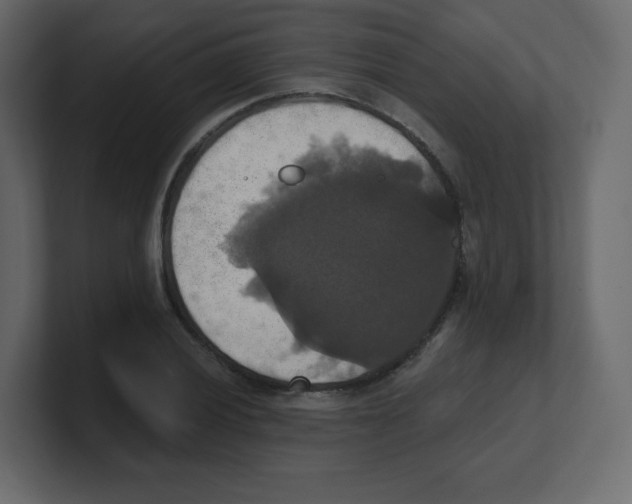 X0000100501028200807111139