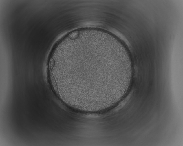 X0000100501029200807111139