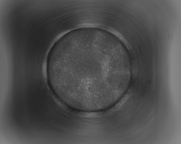 X0000100501030200807111139