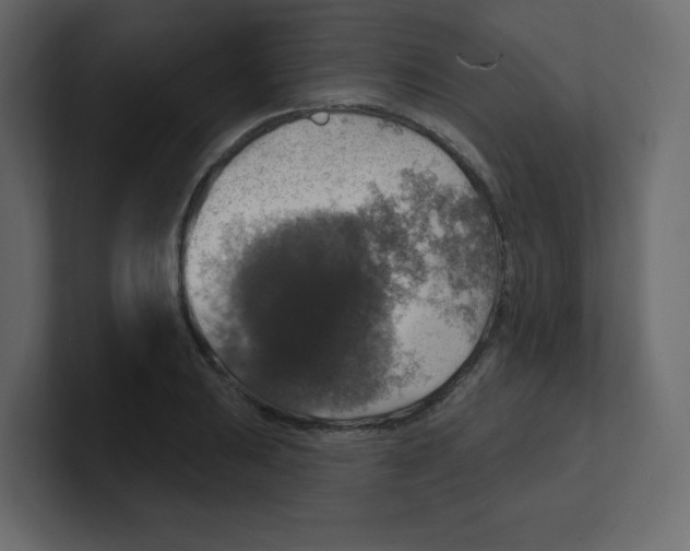 X0000100501031200807111139