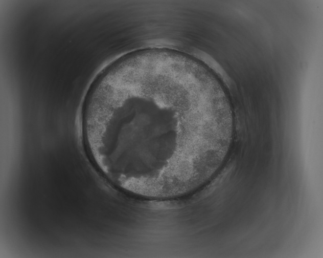 X0000100501032200807111139